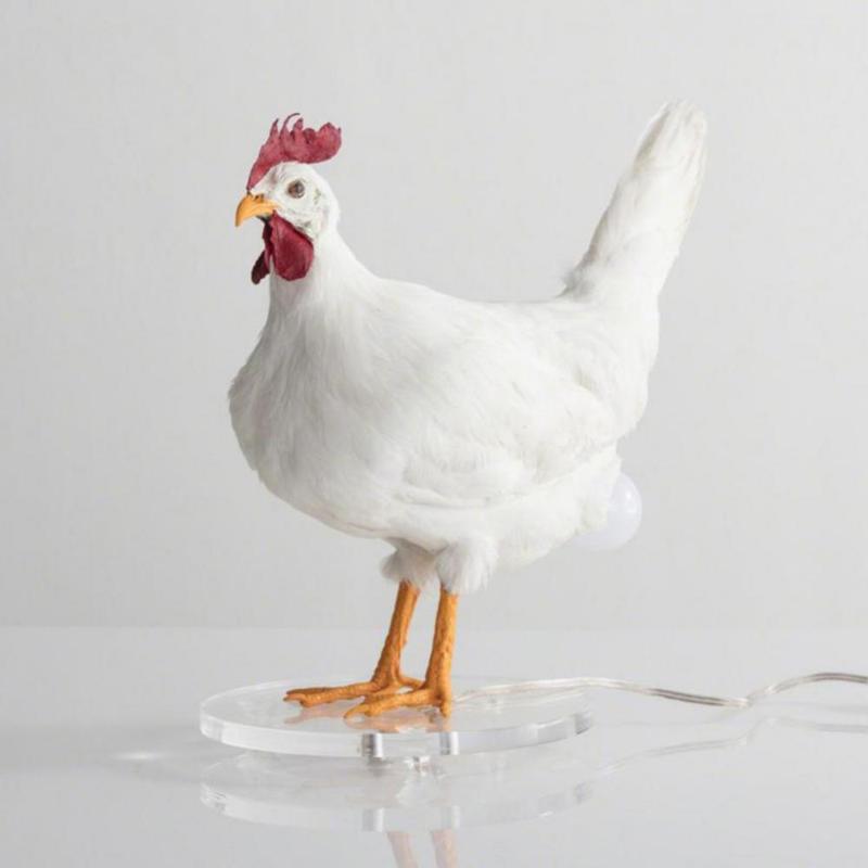 Decorative Objects Figurines Chick Night Light Ornaments Taxidermy Chicken Eggs Lamp Creative Light Home Decor "hens Lay Eggs"easter Decorat