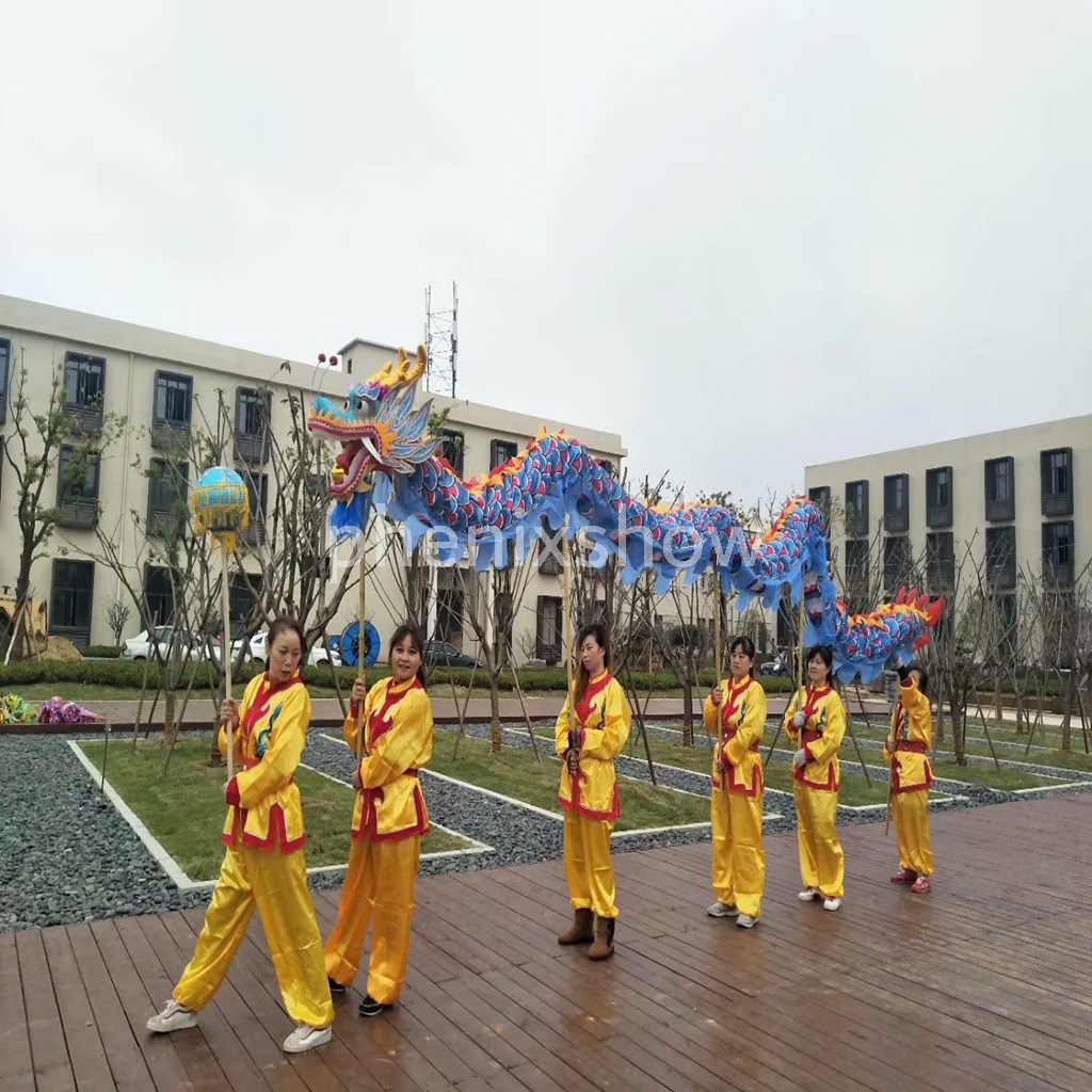 7m size 5 For 6 student Mascot costume silk fabric Chinese Spring Day DRAGON DANCE ORIGINAL Folk Festival Celebration Prop, Green
7m size 5 For 6 student Mascot costume silk fabric Chinese Spring Day DRAGON DANCE ORIGINAL Folk Festival Celebration Prop, Green