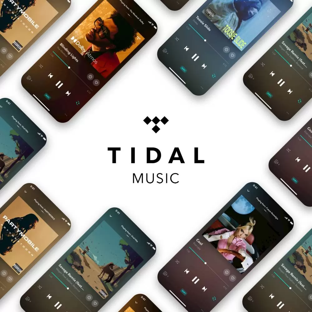 Wifi Speaker Hdd Player Brand New Tidal Hifi Plus 1 Year Play Region Free Works On Android Pc Mac Ios All Platform
Wifi Speaker Hdd Player Brand New Tidal Hifi Plus 1 Year Play Region Free Works On Android Pc Mac Ios All Platform