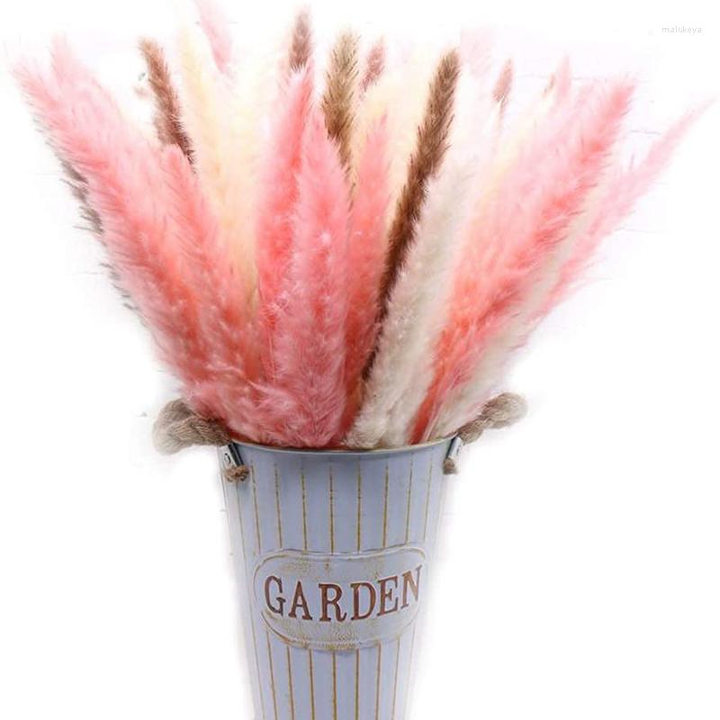 Decorative Flowers 15pcs Dried Pompous Grass Pompass Branches For Vase Flower Arrangement Boho Style Wedding Kitchen Home Decoration
Decorative Flowers 15pcs Dried Pompous Grass Pompass Branches For Vase Flower Arrangement Boho Style Wedding Kitchen Home Decoration