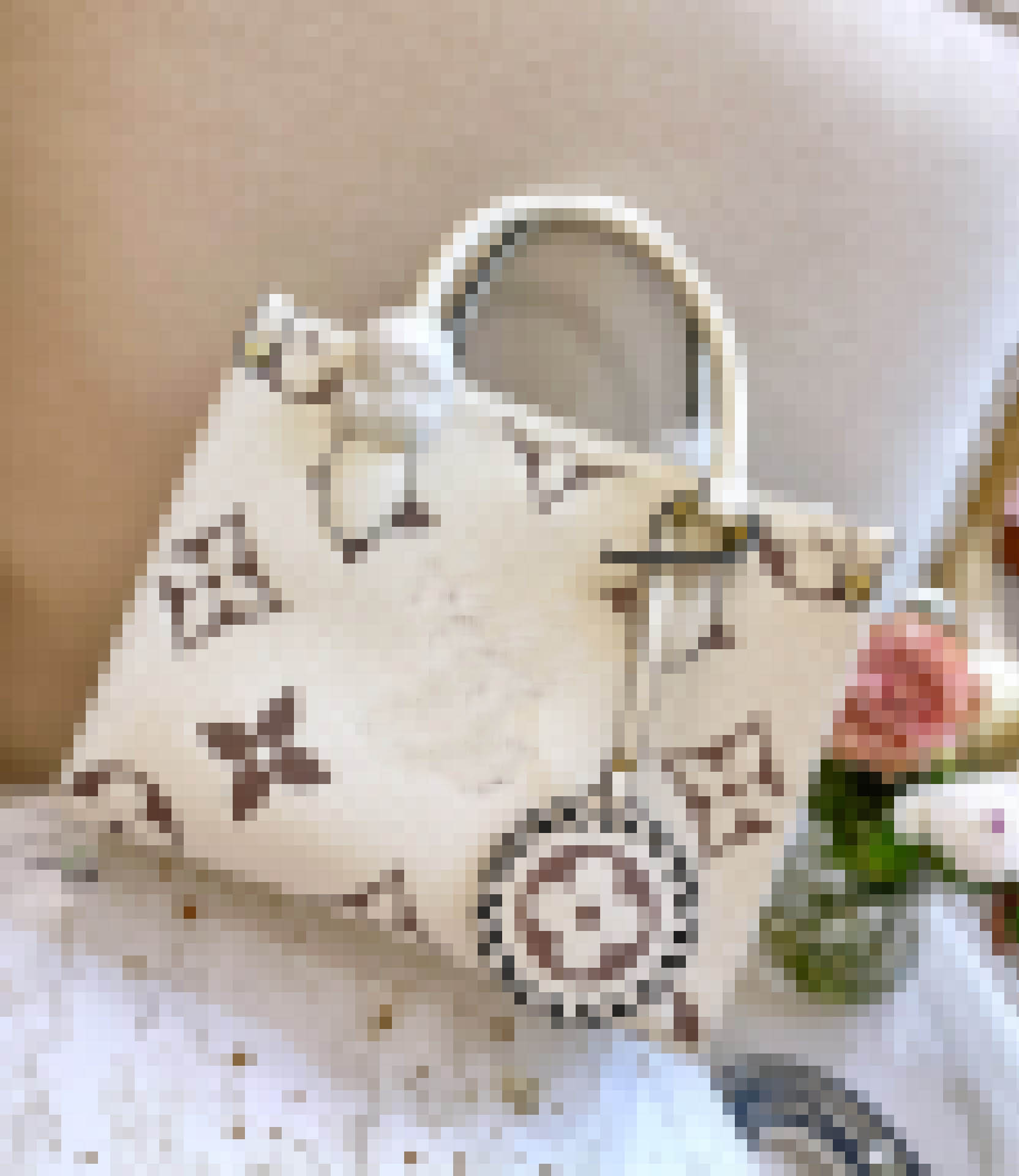 Designer Fashion Onthego Mm Gm Pm M44925 Women Luxurys Designers Bags Genuine Leather Handbags Messenger Crossbody Shoulder Bag Totes Wallet Backpac
Designer Fashion Onthego Mm Gm Pm M44925 Women Luxurys Designers Bags Genuine Leather Handbags Messenger Crossbody Shoulder Bag Totes Wallet Backpac