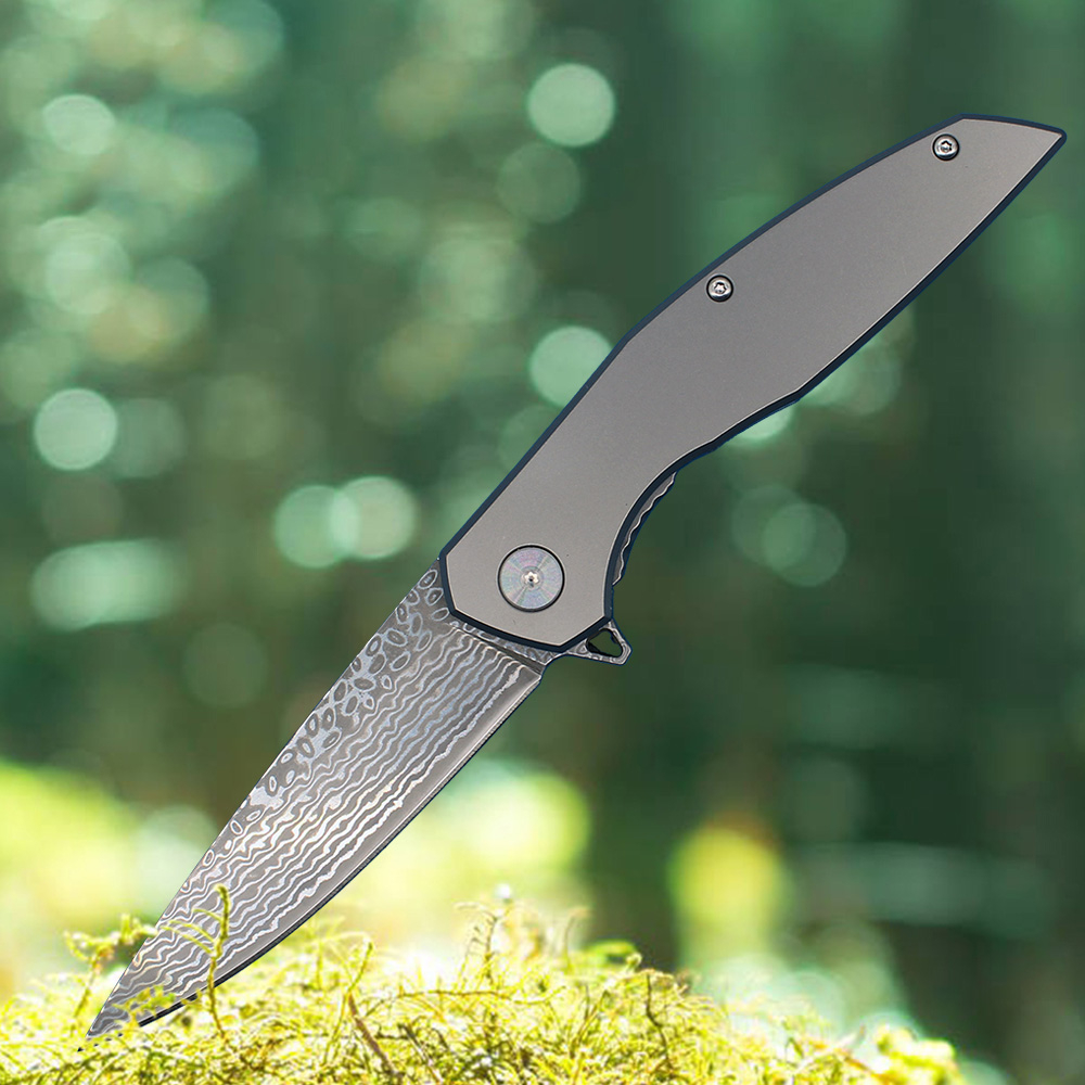 Special Offer R8318 Flipper Folding Knife 67-Layer VG10 Damascus Steel Blade CNC TC4 Titanium Alloy Outdoor Camping Hiking Fishing EDC Pocket Folder Knives
Special Offer R8318 Flipper Folding Knife 67-Layer VG10 Damascus Steel Blade CNC TC4 Titanium Alloy Outdoor Camping Hiking Fishing EDC Pocket Folder Knives