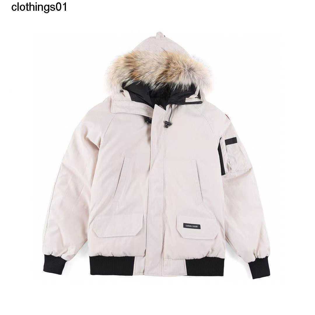 Putian goose down jacket pilot jacket Chilliwack short outdoor thickened thermal coat for men and women, Gray
Putian goose down jacket pilot jacket Chilliwack short outdoor thickened thermal coat for men and women, Gray