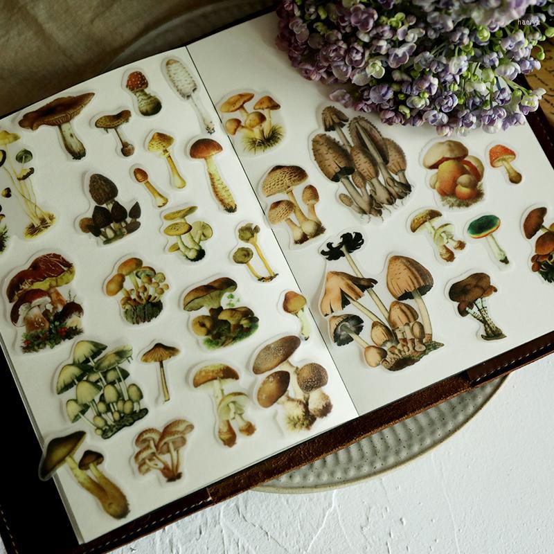 Gift Wrap 100pcs Retro Mushroom Illustration Vellum Paper Stickers For Scrapbooking Happy Planner/Card Making/Journaling ProjectGift
Gift Wrap 100pcs Retro Mushroom Illustration Vellum Paper Stickers For Scrapbooking Happy Planner/Card Making/Journaling ProjectGift