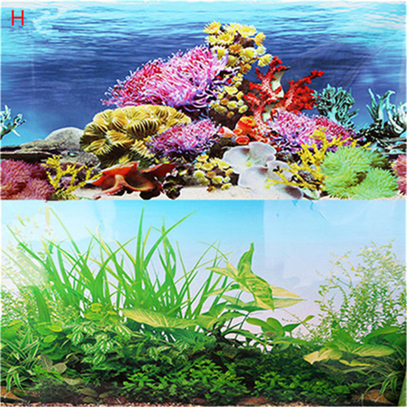 50x120cm Aquarium Decoration Double Sided Aquarium Background Poster Fish Tank Wall Decor
50x120cm Aquarium Decoration Double Sided Aquarium Background Poster Fish Tank Wall Decor