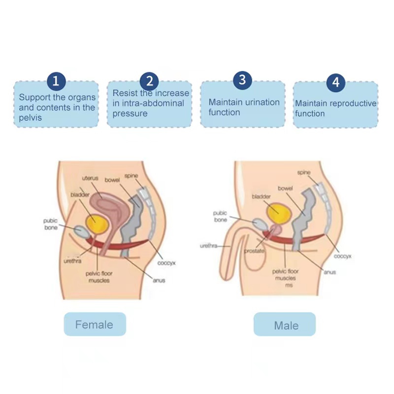 Portable Emslim Slimming Hip Trainer Strengthen Inner Pelvic Floor Muscles Stimulation Machine EMS Urinary Incontinence Chair