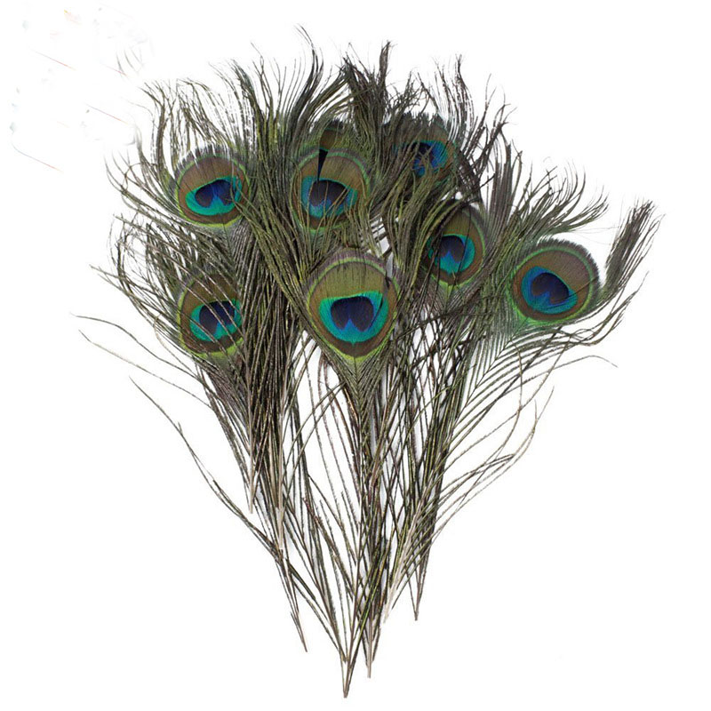 Festive & Party Supplies 10-12inch/25-30cm Natural Peacock Feather Eyes Screen Green DIY Craft Holiday Wedding Decorations
Festive & Party Supplies 10-12inch/25-30cm Natural Peacock Feather Eyes Screen Green DIY Craft Holiday Wedding Decorations