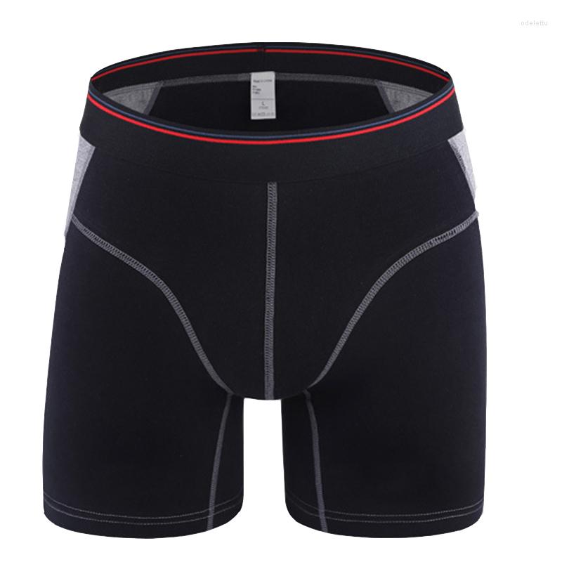 Underpants 4Piece/Lot Sexy Men Long Boxers Male Cotton Underwear Shorts Cuecas U Convex Pouch Leg Panties Calzoncillos, A2 color 4pcs
Underpants 4Piece/Lot Sexy Men Long Boxers Male Cotton Underwear Shorts Cuecas U Convex Pouch Leg Panties Calzoncillos, A2 color 4pcs