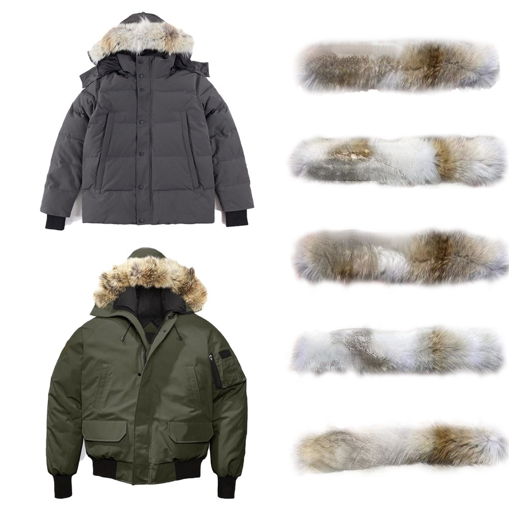 High Quality Mens Down jacket coat real big wolf fur Wyndham Overcoat Clothing Casual fashion style Winter Outerwear outdoor parka Puffer Jacket, Photo color
High Quality Mens Down jacket coat real big wolf fur Wyndham Overcoat Clothing Casual fashion style Winter Outerwear outdoor parka Puffer Jacket, Photo color
