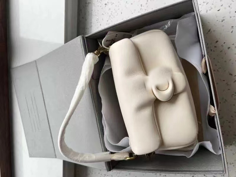 Classic Design Ladies Pillow Shoulder Bag White Soft Flap Tote Designer Fashion Small Leather Crossbody Bags women's, Pink
Classic Design Ladies Pillow Shoulder Bag White Soft Flap Tote Designer Fashion Small Leather Crossbody Bags women's, Pink
