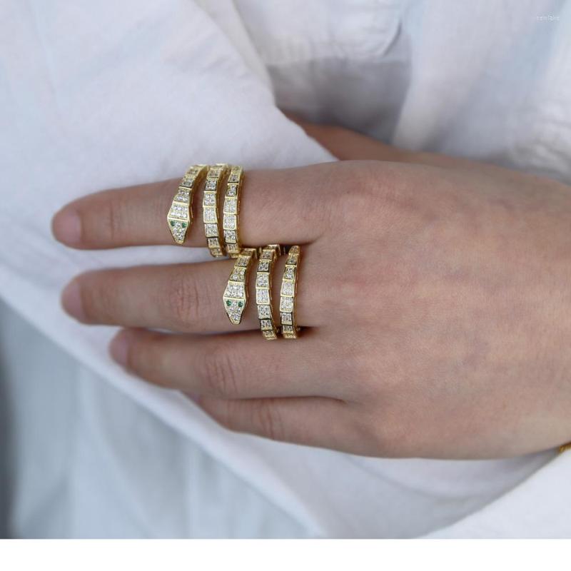 Wedding Rings Hip Hop Animal Snake Rock Style Ring Jewelry Wediing Gift 2022 Arrived Gold Color Black Cute Heavy Metals Punk
Wedding Rings Hip Hop Animal Snake Rock Style Ring Jewelry Wediing Gift 2022 Arrived Gold Color Black Cute Heavy Metals Punk