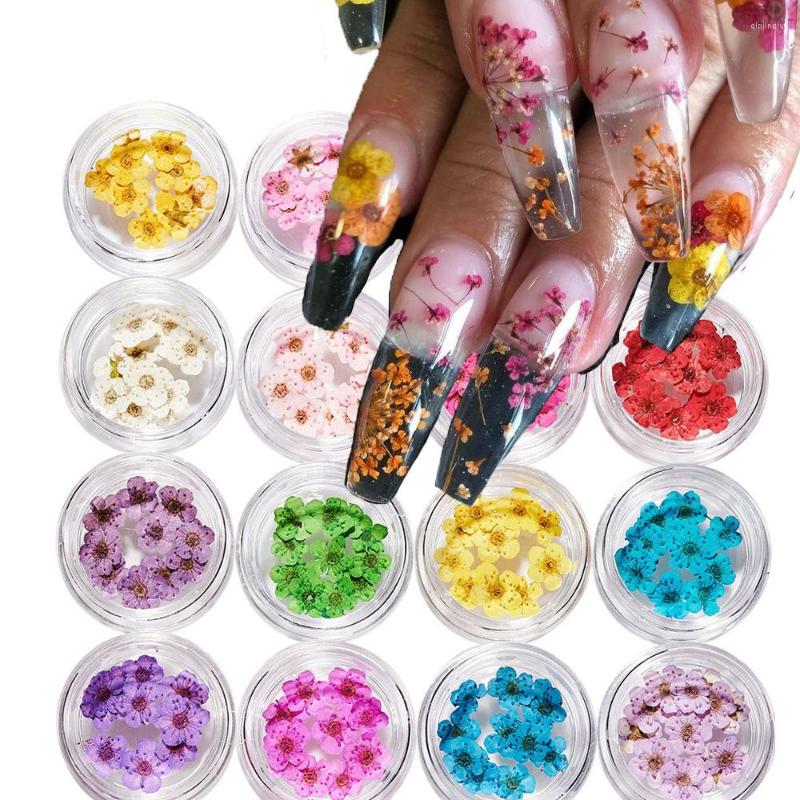 Nail Art Decorations 10Pcs/Jar Real Natural Petal Dried Dry Flower Tips 16Color Flowers Craft Making DIY Acrylic Nails Decal Decoration
Nail Art Decorations 10Pcs/Jar Real Natural Petal Dried Dry Flower Tips 16Color Flowers Craft Making DIY Acrylic Nails Decal Decoration
