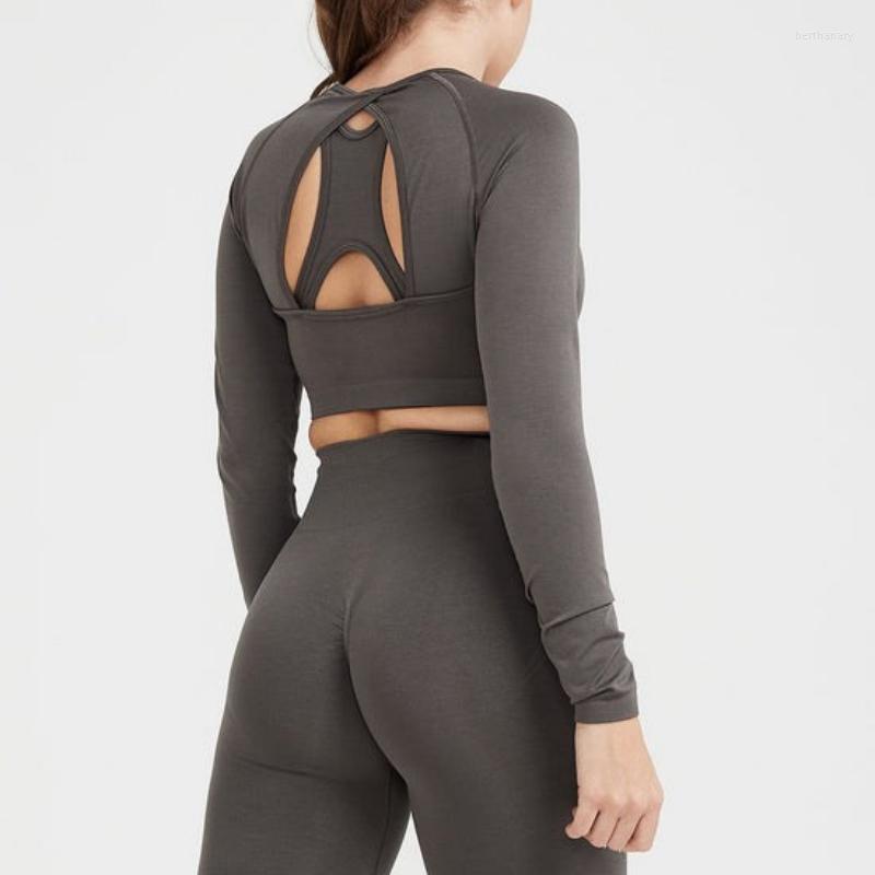 Active Sets 2pcs Seamless Yoga Set Women Workout Gym Scrunch BuLeggings Long Sleeve Crop Top Clothing Fitness Sports Suit, Wine red set
Active Sets 2pcs Seamless Yoga Set Women Workout Gym Scrunch BuLeggings Long Sleeve Crop Top Clothing Fitness Sports Suit, Wine red set