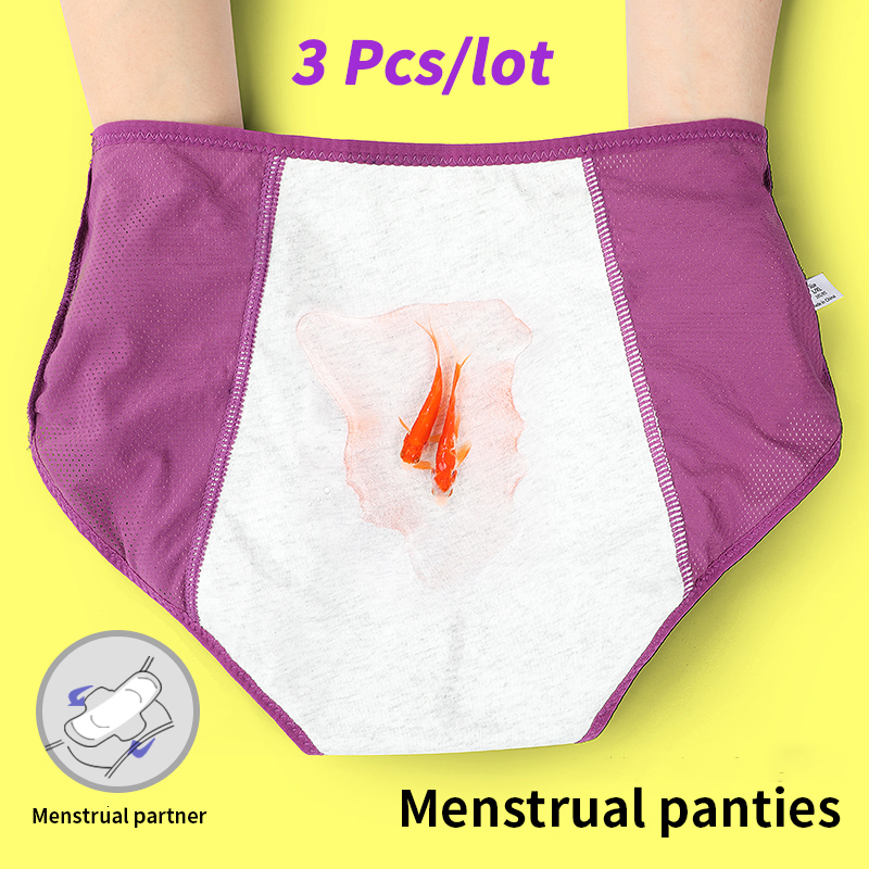 Women's Panties 3pcslot Menstrual Panties Leak Proof Cotton Panties For Periods Women Underwear Menstrual Female Waterproof Briefs Drop 221202, Pink beige gray
Women's Panties 3pcslot Menstrual Panties Leak Proof Cotton Panties For Periods Women Underwear Menstrual Female Waterproof Briefs Drop 221202, Pink beige gray