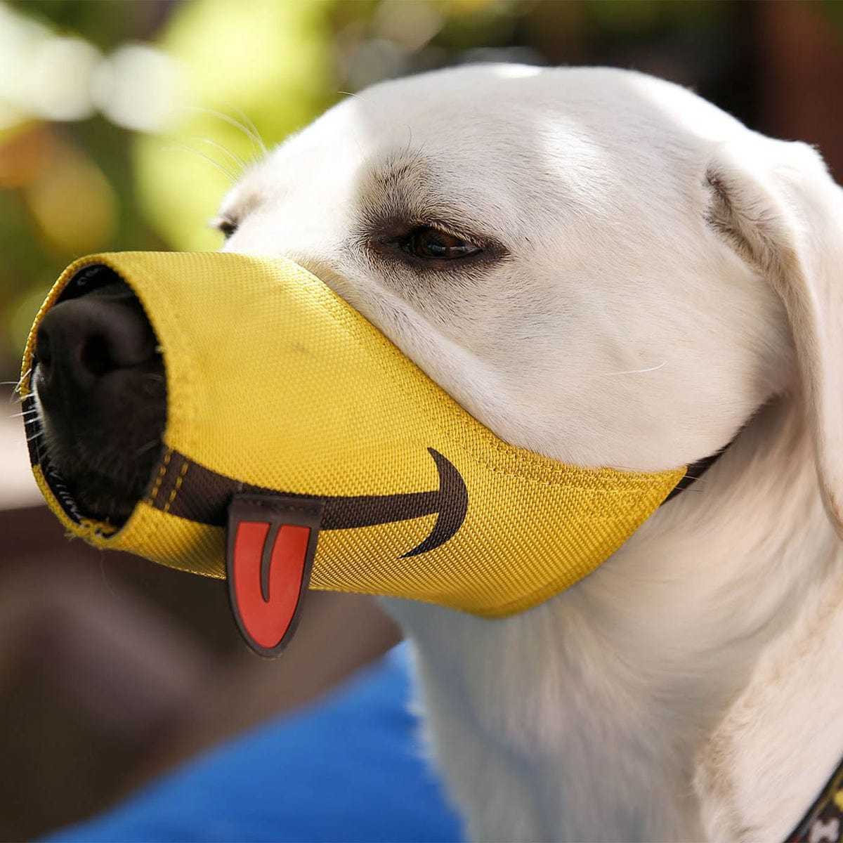 Dog Muzzle Smiley Face with Soft Breathable Air Mesh Nylon Anti Biting Barking Chewing Adjustable Mouth Cover
Dog Muzzle Smiley Face with Soft Breathable Air Mesh Nylon Anti Biting Barking Chewing Adjustable Mouth Cover