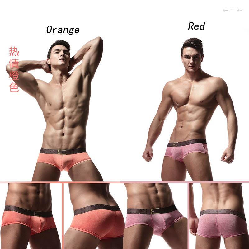 Underpants Men' Comfortable Cotton Panties U Convex Pouch Underwear Plump Buttock Breathability Erotic Lingerie Printed Belt Boxer, Black
Underpants Men' Comfortable Cotton Panties U Convex Pouch Underwear Plump Buttock Breathability Erotic Lingerie Printed Belt Boxer, Black