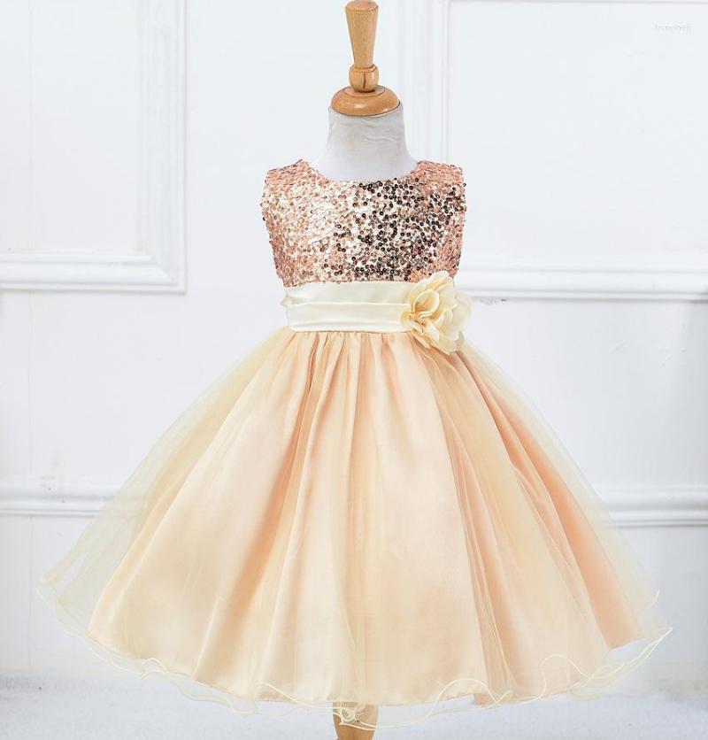 Girl Dresses Summer Girls Europe And The United States Wedding Flower Dress Color Gradient Sequins High-end Children's Long, Black
Girl Dresses Summer Girls Europe And The United States Wedding Flower Dress Color Gradient Sequins High-end Children's Long, Black