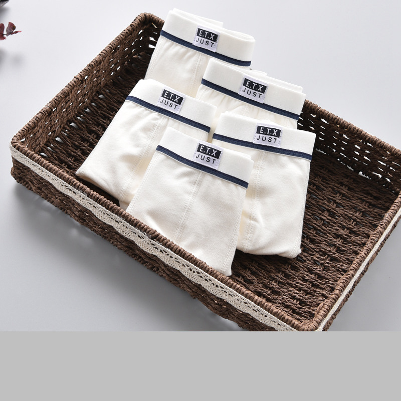 Panties 5 Pcs lot Underwear Kids Boys Solid White Color Shorts Teenage School Underpants Toddler Adult 221205