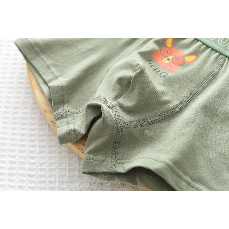 Panties 5 Pcs lpack Kids Underwear for Boys Cotton Teen Cartoon Dinosaur Boxers Toddler Children cute Breathable Underpants 221205