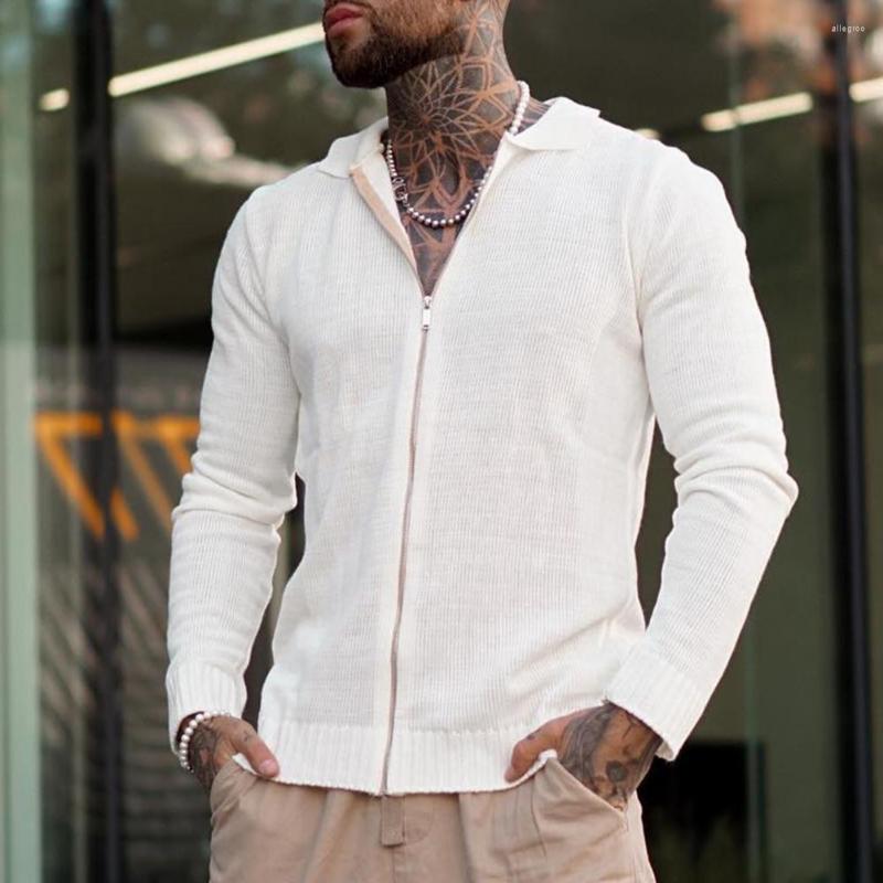 Men' Sweaters Male Top Lapel Soft Cold Resistant Men Solid Color Zipper Closure Knitted Shirt Knitwear Daily Clothing, White
Men' Sweaters Male Top Lapel Soft Cold Resistant Men Solid Color Zipper Closure Knitted Shirt Knitwear Daily Clothing, White