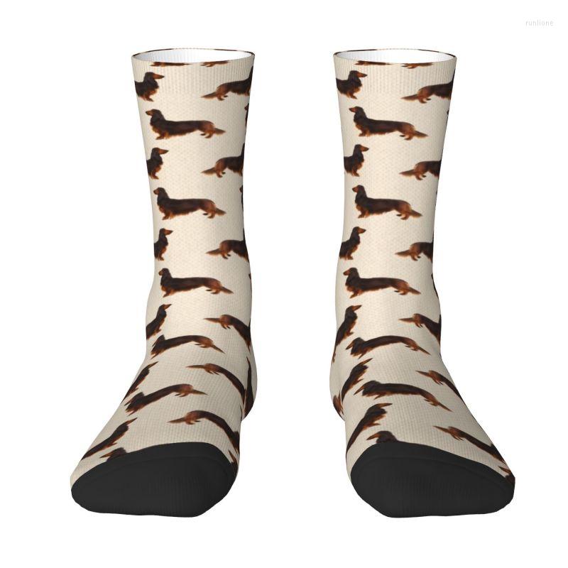 Men's Socks Long Hair Dachshund Cream Pattern Sausage Dog Print Men's Crew Unisex Pet Wiener Spring Summer Autumn Winter Dress 
Men's Socks Long Hair Dachshund Cream Pattern Sausage Dog Print Men's Crew Unisex Pet Wiener Spring Summer Autumn Winter Dress