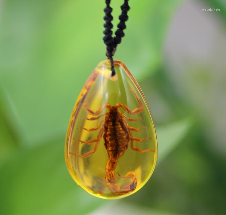 Pendant Necklaces The Good Scorpion Necklace Really Creative Man Insect Specimens Decorations Gifts For Children
Pendant Necklaces The Good Scorpion Necklace Really Creative Man Insect Specimens Decorations Gifts For Children