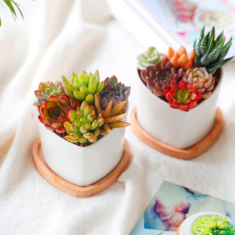 Multi Bamboo Tray Wood Saucer Flower Pot Tray Cup Pad Coaster Plate Kitchen Decorative Plate Creative Coaster Coffee Cup Mat