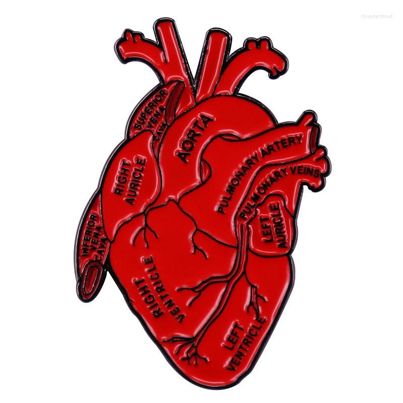Brooches Blood Red Heart Enamel Pins Health Human Organ For Clothes Backpack Hat Lapel Badges Fashion Jewelry Accessories Gifts
Brooches Blood Red Heart Enamel Pins Health Human Organ For Clothes Backpack Hat Lapel Badges Fashion Jewelry Accessories Gifts