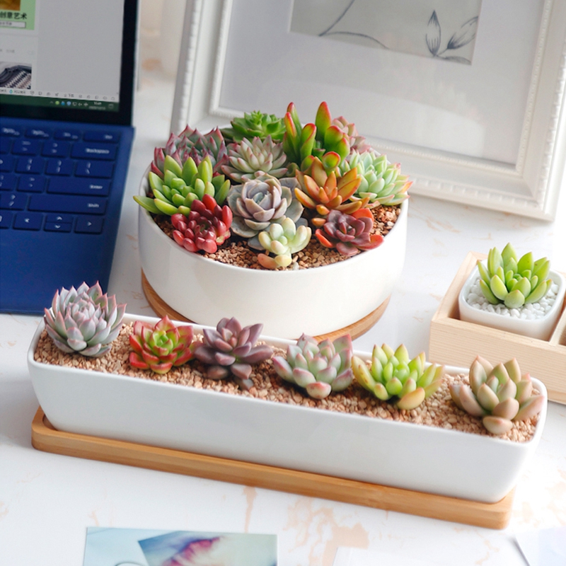 Multi Bamboo Tray Wood Saucer Flower Pot Tray Cup Pad Coaster Plate Kitchen Decorative Plate Creative Coaster Coffee Cup Mat