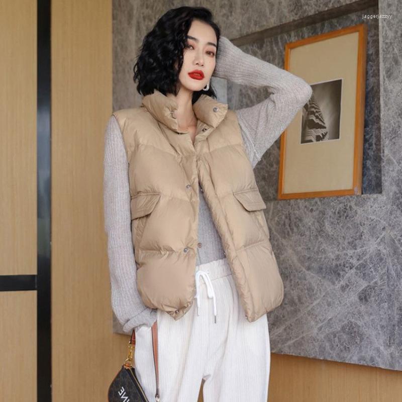 Women's Vests 2022 Autumn And Winter Standing Collar Large Pockets Down Vest Casual Loose Tide Female Undershirt, Black
Women's Vests 2022 Autumn And Winter Standing Collar Large Pockets Down Vest Casual Loose Tide Female Undershirt, Black