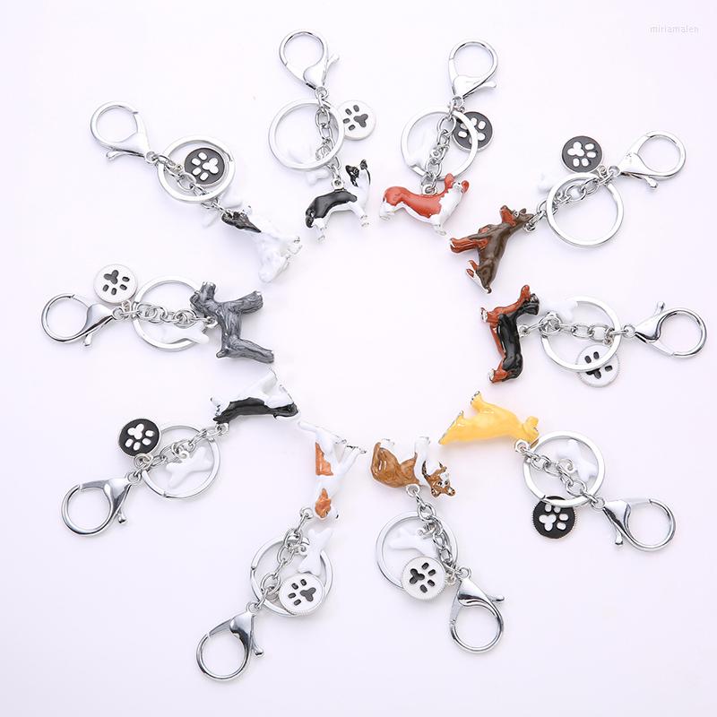 Keychains 3D Pet Dog Border Collie Keychain Pendant Bag Charm Car Keyrings Cute Animal Men Metal Jewelry Gift Accessories
Keychains 3D Pet Dog Border Collie Keychain Pendant Bag Charm Car Keyrings Cute Animal Men Metal Jewelry Gift Accessories