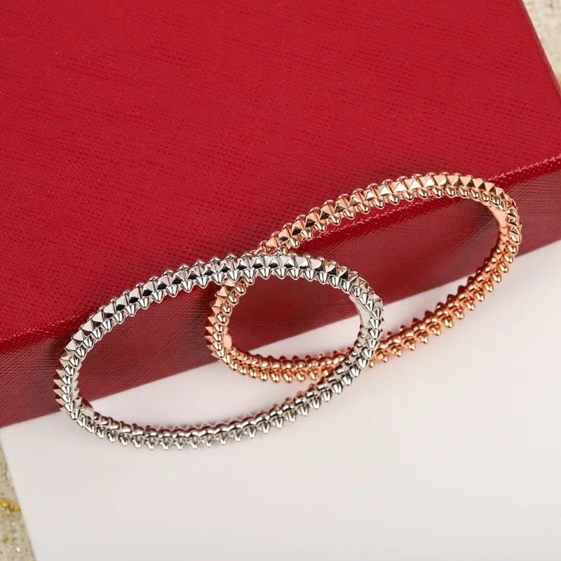 Charm Bracelets S925 Sterling Silver Willow Nail Rose Gold Bracelet Bullet Closed Light Luxury Bracelet Gift 221206
Charm Bracelets S925 Sterling Silver Willow Nail Rose Gold Bracelet Bullet Closed Light Luxury Bracelet Gift 221206