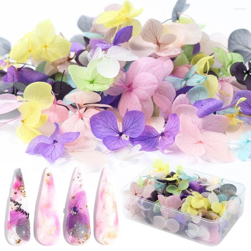 Nail Art Decorations 100pcs 3D Charm Dried Flowers Decoration Tips Manicure Natural Floral Sticker Design Polish Jewelry Supplies
Nail Art Decorations 100pcs 3D Charm Dried Flowers Decoration Tips Manicure Natural Floral Sticker Design Polish Jewelry Supplies