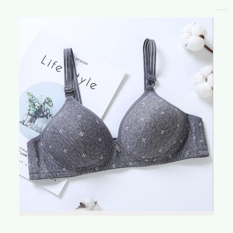 Bras Simple Classic Gray Khaki For Women Sexy Lace Push Up Thin Cotton Soft Comfort Wire Free Breathable Bralette Tops Bh Vs C09, C09 gray
Bras Simple Classic Gray Khaki For Women Sexy Lace Push Up Thin Cotton Soft Comfort Wire Free Breathable Bralette Tops Bh Vs C09, C09 gray