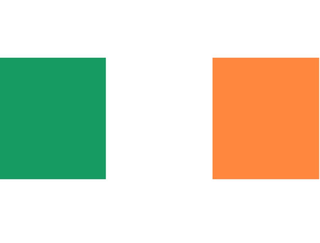Whole 150x90 cm Ireland Flag 3x5ft Flying Banner 100D Polyester National Flag Decoration 7799722
Whole 150x90 cm Ireland Flag 3x5ft Flying Banner 100D Polyester National Flag Decoration 7799722