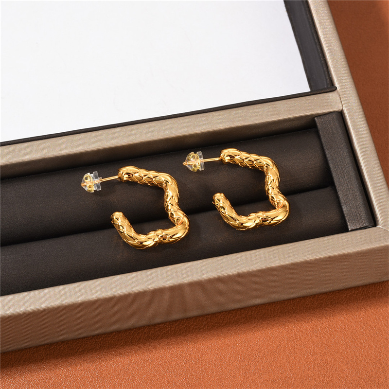 Ins Snake Scale Texture S925 Silver Needle Stud Earrings Women's Fashion Street All-Match Exquisite Jewelry Accessories
Ins Snake Scale Texture S925 Silver Needle Stud Earrings Women's Fashion Street All-Match Exquisite Jewelry Accessories