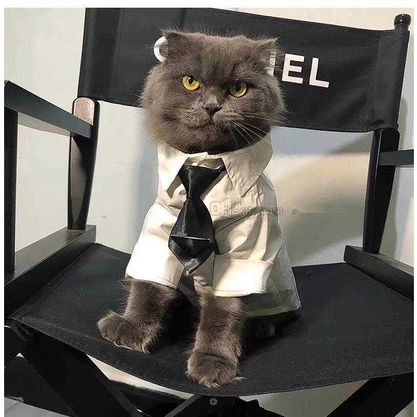 Harness Step-In Designer And Leashes Set Leather Brand Pet Collar Leash With Handbag Soft Dog Small Medium Dogs Poodle 45285