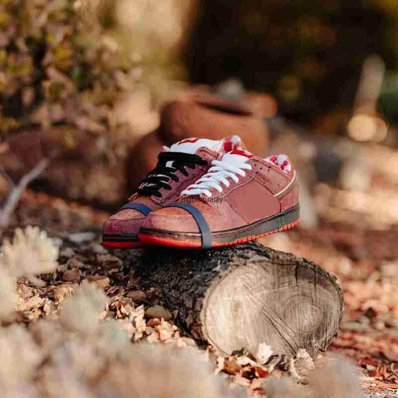 Shoes Concepts x Sb Dunks Low Pro OG Purple Lobster Skateboard Men Authentic Sneakers Red Blue Green Yellow Special
Shoes Concepts x Sb Dunks Low Pro OG Purple Lobster Skateboard Men Authentic Sneakers Red Blue Green Yellow Special