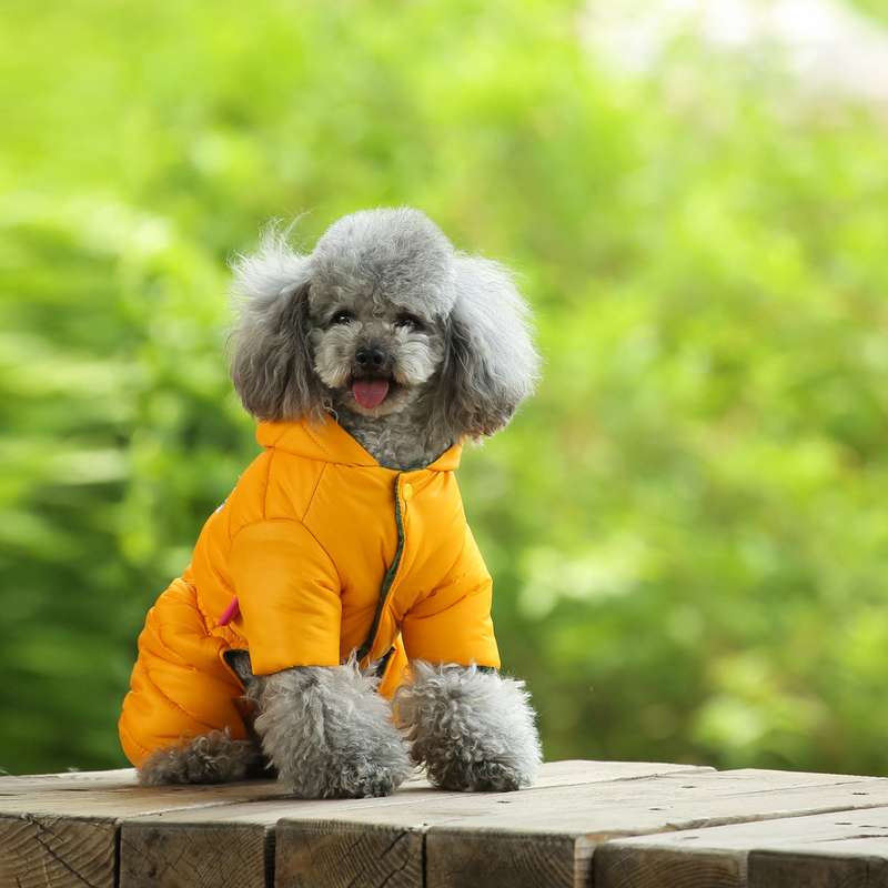 Designer Clothes Winter Dog Apparel Waterproof Windproof Dogs Coats Warm Fleece Padded Cold Weather Pet Snowsuit for Chihuahua Poodles Bulldog Pomeran