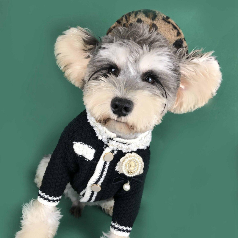 Designer Clothes Brands Dog Apparel Spring Coats Small Fragrance Pet Sweater for Cardigan Schnauzer Bomei Teddy Corgi Pug Dogs Cat Pets Clothing Black