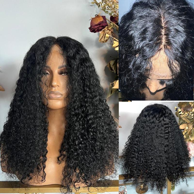 Curly Human Hair Wig Pre Plucked Full Lace Wigs For Black Women Glueless Remy 13x4/13x6 Kinky Front 180%, 13x4 lace front wig