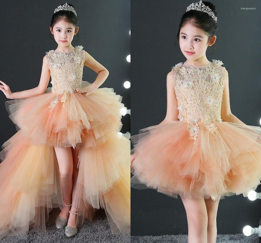Girl Dresses High Low Pink/Champagne Flower Detachable Train Applique Ruffles Girls Pageant Gowns Children Kids Prom Party Dress, Black
Girl Dresses High Low Pink/Champagne Flower Detachable Train Applique Ruffles Girls Pageant Gowns Children Kids Prom Party Dress, Black