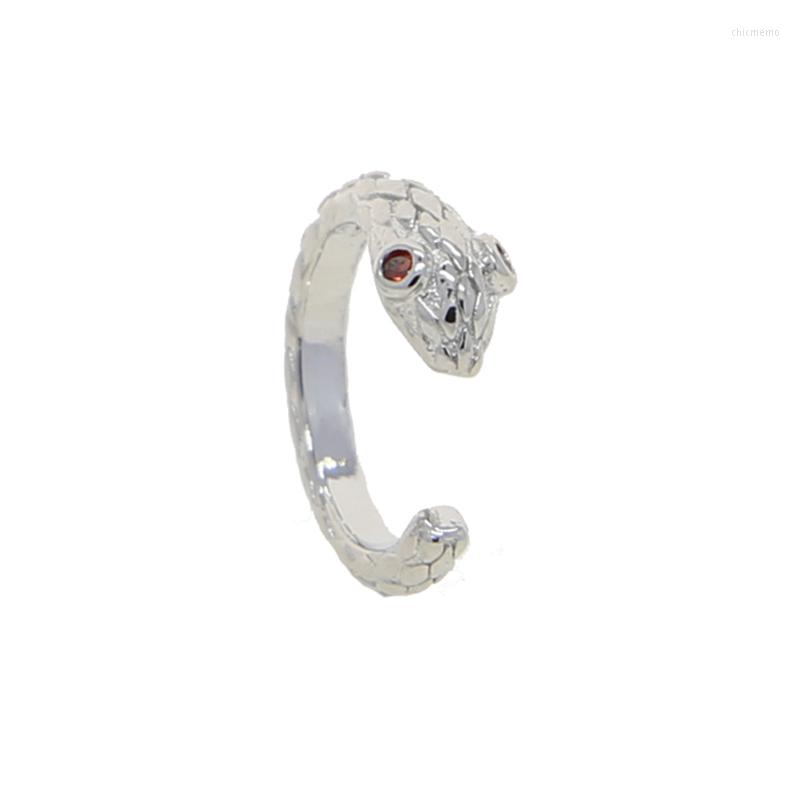 Backs Earrings Cute Snake Ear Cuff Earring Silver Color Cubic Zircon CZ Eye Shape Single No Piercing Clip On For Women Jewelry
Backs Earrings Cute Snake Ear Cuff Earring Silver Color Cubic Zircon CZ Eye Shape Single No Piercing Clip On For Women Jewelry