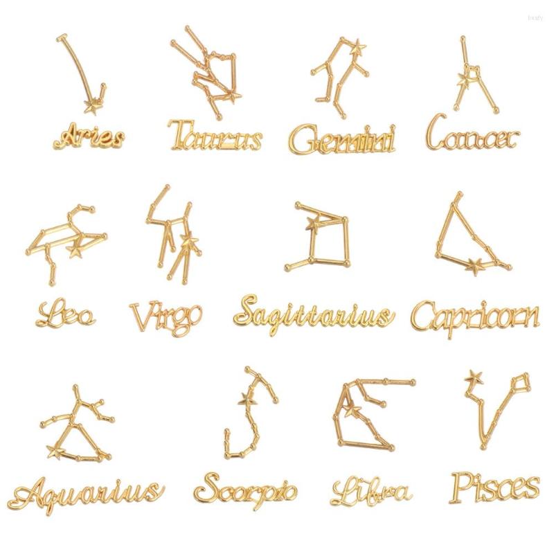 Charms Filling Bracelet Necklace Crafting Metal Accessories Resin Fillers Twelve Zodiac Signs 12 Constellations Alloy
Charms Filling Bracelet Necklace Crafting Metal Accessories Resin Fillers Twelve Zodiac Signs 12 Constellations Alloy