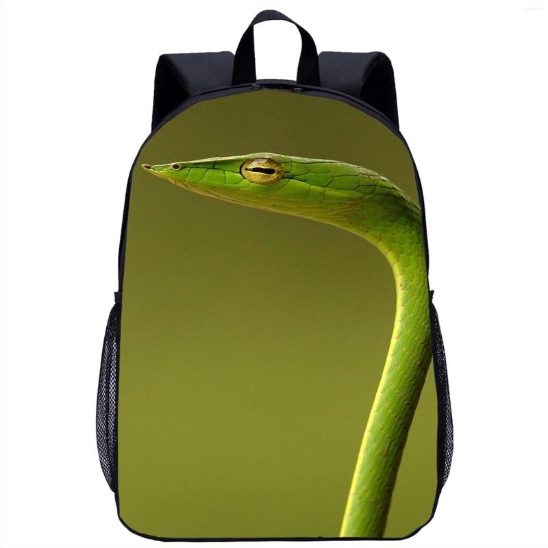 School Bags Snake Backpack Children's Animal 3D Print Teenager Travel Laptop Bag 17in Season Gift For Girls Boys
School Bags Snake Backpack Children's Animal 3D Print Teenager Travel Laptop Bag 17in Season Gift For Girls Boys