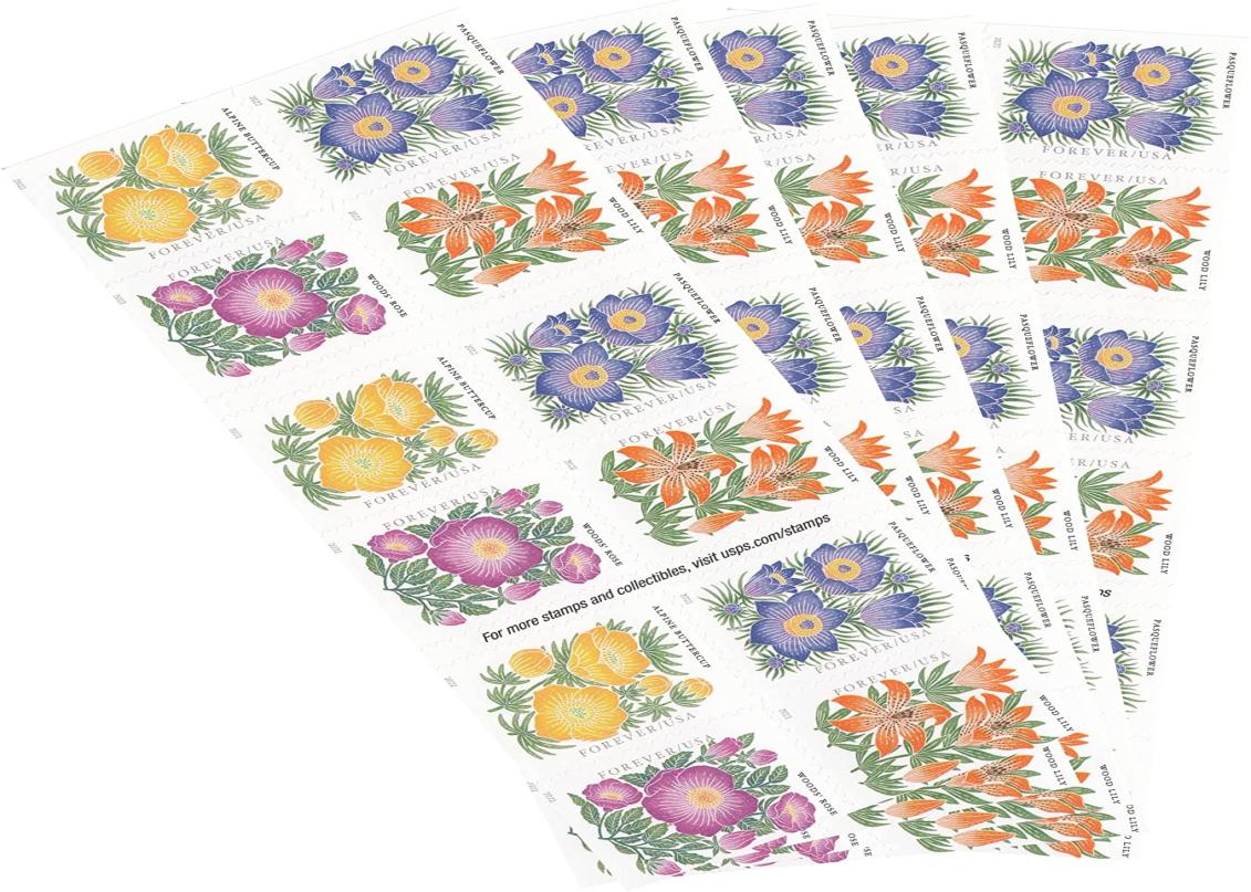 US Postage First Class Stamps For Envelopes Letters Postcard Mail Supplies Wedding Celebration Invitations Anniversary Birthdays1070277, J(100 pcs/ 1 set
US Postage First Class Stamps For Envelopes Letters Postcard Mail Supplies Wedding Celebration Invitations Anniversary Birthdays1070277, J(100 pcs/ 1 set