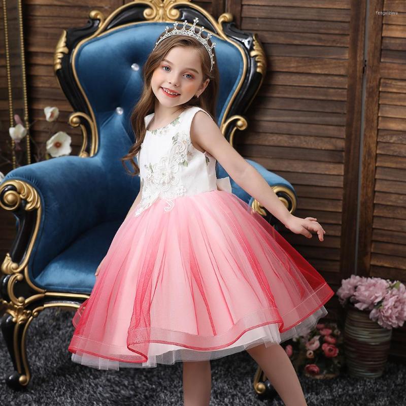 Girl Dresses Korean Version Of Children's Dress Skirt Flower Puff Sleeveless Costume Pastoral Princess, Pink
Girl Dresses Korean Version Of Children's Dress Skirt Flower Puff Sleeveless Costume Pastoral Princess, Pink