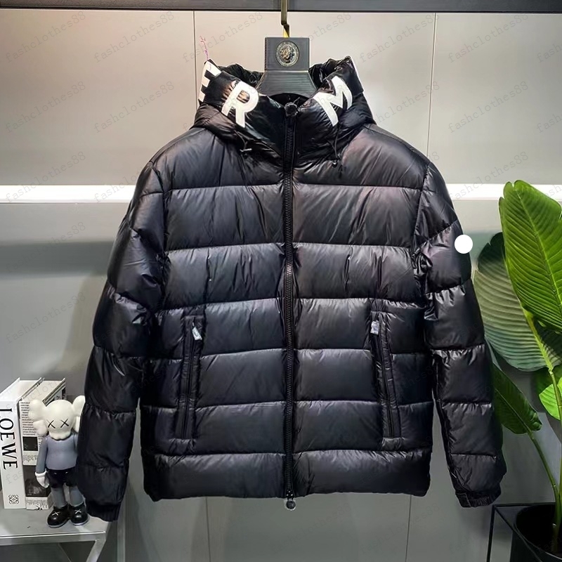 Designer Mens Winter Salzman Down Jackets parkas light Windbreaker Hoodie Black White Puffer Outerwear Man Italy Italian Luxury, 10
Designer Mens Winter Salzman Down Jackets parkas light Windbreaker Hoodie Black White Puffer Outerwear Man Italy Italian Luxury, 10