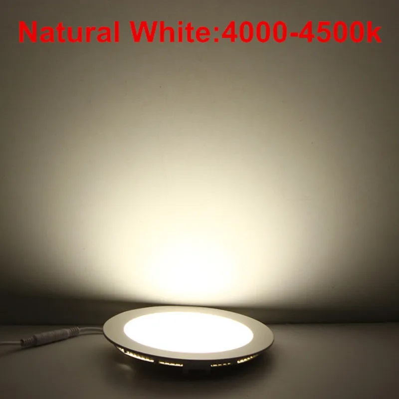Dimmable Round Led Panel Light 4W 6W 9W 12W 15W 18W 21W 110-240V Led Ceiling Recessed down lamp SMD2835 downlight With driver
