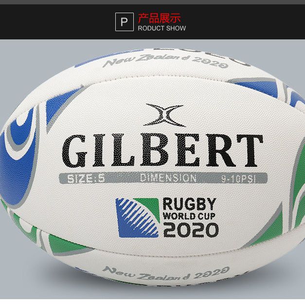 Training Rugby Ball… - image